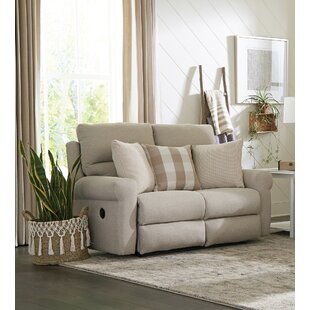 Double shop recliner loveseat